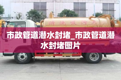 市政管道潛水封堵_市政管道潛水封堵圖片