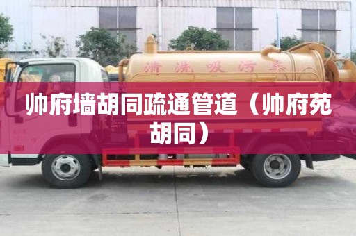 帥府墻胡同疏通管道（帥府苑胡同）
