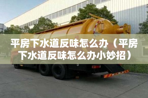 平房下水道反味怎么辦（平房下水道反味怎么辦小妙招）