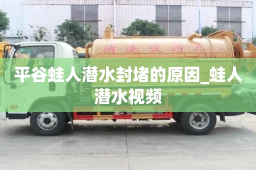 平谷蛙人潛水封堵的原因_蛙人潛水視頻