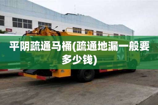 平陰疏通馬桶(疏通地漏一般要多少錢) 平陰疏通馬桶(疏通地漏一般要多少錢)