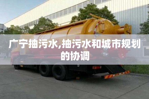 廣寧抽污水,抽污水和城市規劃的協調