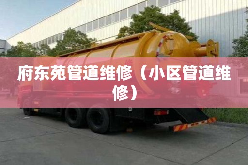 府東苑管道維修（小區管道維修）