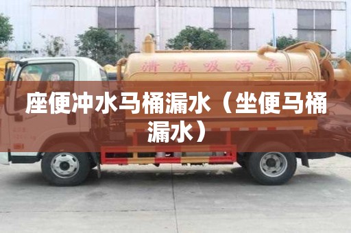 座便沖水馬桶漏水（坐便馬桶漏水）