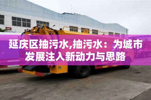 延慶區抽污水,抽污水：為城市發展注入新動力與思路