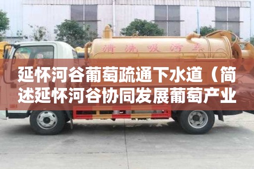 延懷河谷葡萄疏通下水道（簡述延懷河谷協同發展葡萄產業對區域經濟的影響）