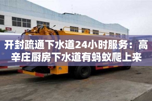 開封疏通下水道24小時服務：高辛莊廚房下水道有螞蟻爬上來怎么清除