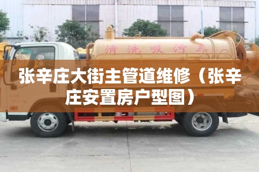 張辛莊大街主管道維修（張辛莊安置房戶型圖）
