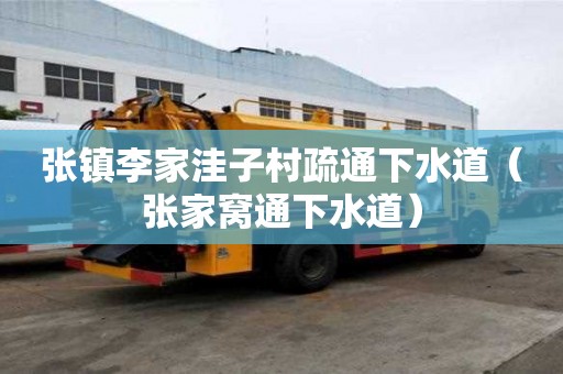 張鎮李家洼子村疏通下水道（張家窩通下水道）