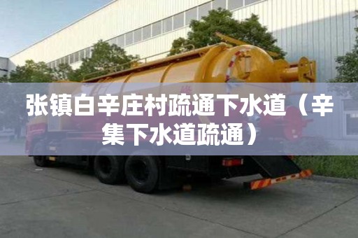張鎮白辛莊村疏通下水道（辛集下水道疏通）