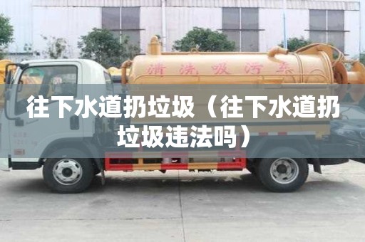 往下水道扔垃圾（往下水道扔垃圾違法嗎）