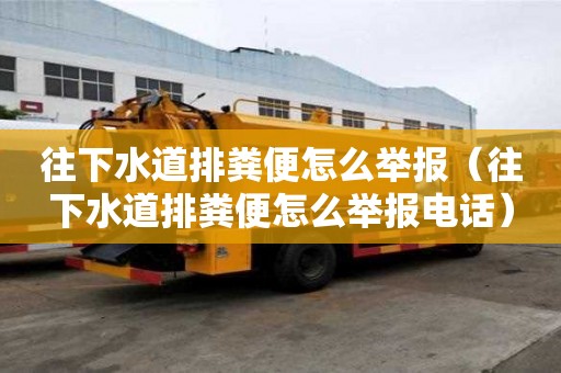 往下水道排糞便怎么舉報（往下水道排糞便怎么舉報電話）