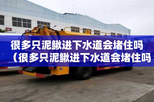很多只泥鰍進(jìn)下水道會堵住嗎（很多只泥鰍進(jìn)下水道會堵住嗎視頻）