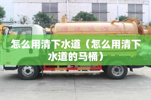 怎么用清下水道（怎么用清下水道的馬桶）