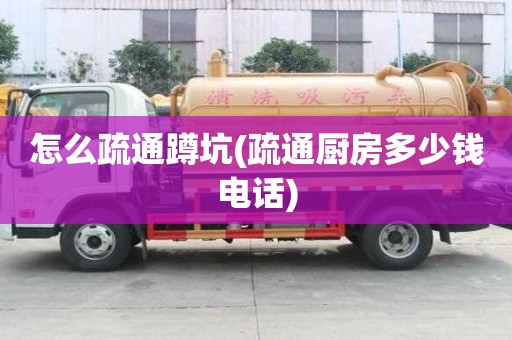 怎么疏通蹲坑(疏通廚房多少錢電話) 怎么疏通蹲坑(疏通廚房多少錢電話)