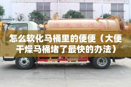 怎么軟化馬桶里的便便（大便干燥馬桶堵了最快的辦法）