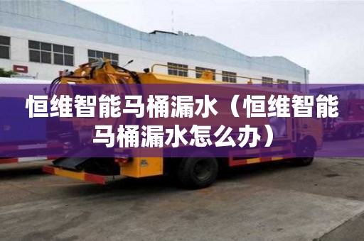恒維智能馬桶漏水（恒維智能馬桶漏水怎么辦）