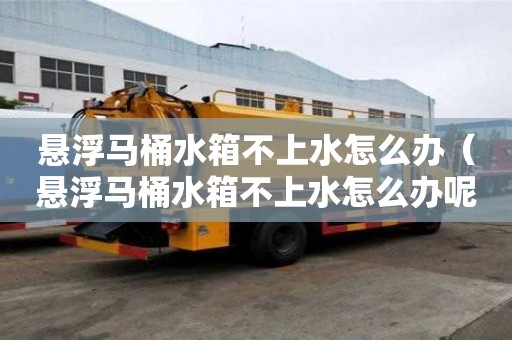 懸浮馬桶水箱不上水怎么辦（懸浮馬桶水箱不上水怎么辦呢）