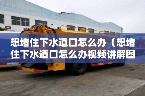 想堵住下水道口怎么辦（想堵住下水道口怎么辦視頻講解圖片）
