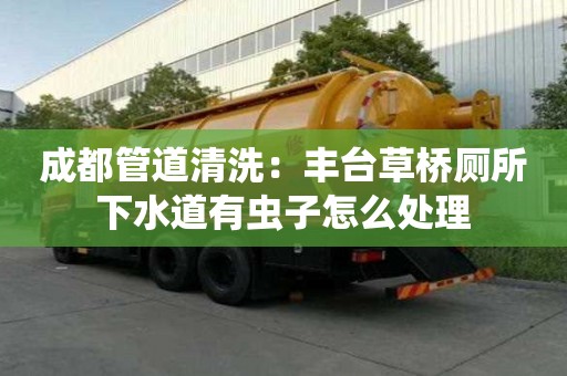 成都管道清洗：豐臺草橋廁所下水道有蟲子怎么處理