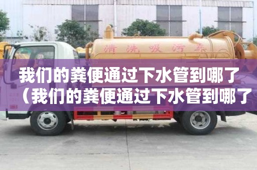 我們的糞便通過下水管到哪了（我們的糞便通過下水管到哪了呢）