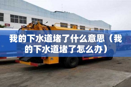 我的下水道堵了什么意思（我的下水道堵了怎么辦）