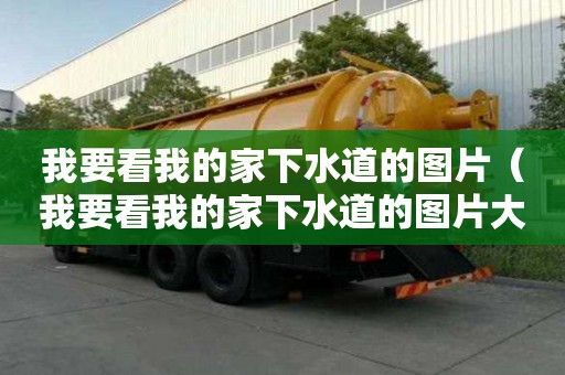 我要看我的家下水道的圖片（我要看我的家下水道的圖片大全）