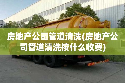 房地產公司管道清洗(房地產公司管道清洗按什么收費)