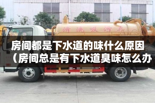 房間都是下水道的味什么原因（房間總是有下水道臭味怎么辦）