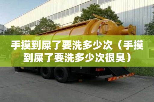 手摸到屎了要洗多少次（手摸到屎了要洗多少次很臭）