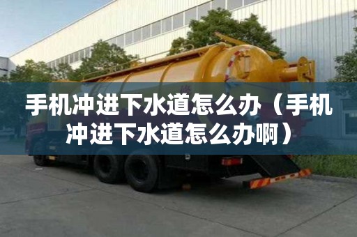 手機沖進(jìn)下水道怎么辦（手機沖進(jìn)下水道怎么辦啊）