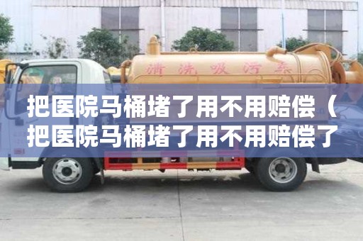 把醫院馬桶堵了用不用賠償（把醫院馬桶堵了用不用賠償了）