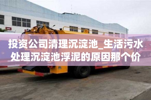 投資公司清理沉淀池_生活污水處理沉淀池浮泥的原因那個價格低