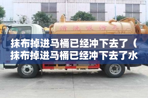 抹布掉進馬桶已經沖下去了（抹布掉進馬桶已經沖下去了水流正常）