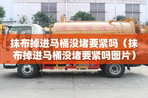 抹布掉進馬桶沒堵要緊嗎（抹布掉進馬桶沒堵要緊嗎圖片）