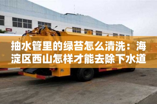 抽水管里的綠苔怎么清洗：海淀區西山怎樣才能去除下水道臭味