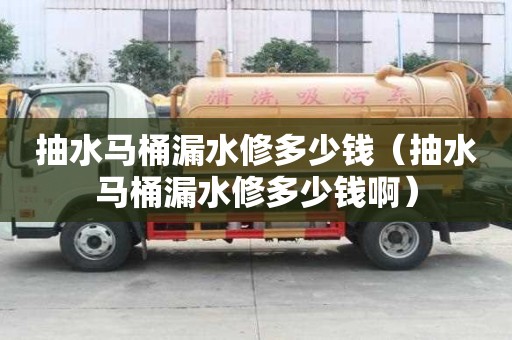 抽水馬桶漏水修多少錢（抽水馬桶漏水修多少錢啊）