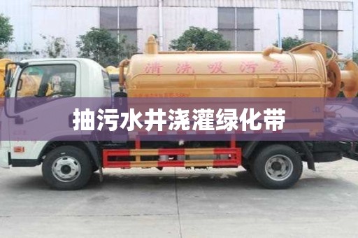 抽污水井澆灌綠化帶