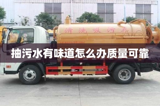 抽污水有味道怎么辦質量可靠
