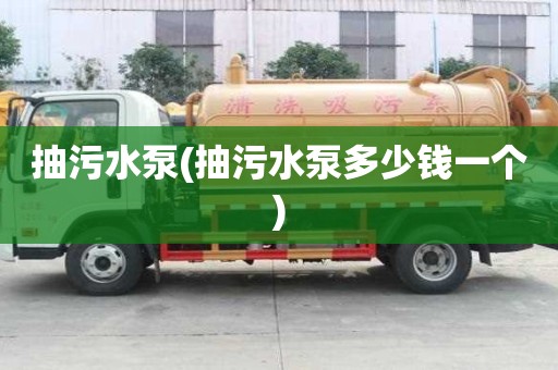 抽污水泵(抽污水泵多少錢一個)