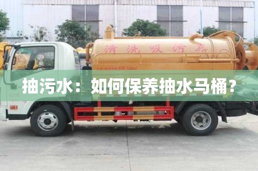 抽污水：如何保養抽水馬桶？