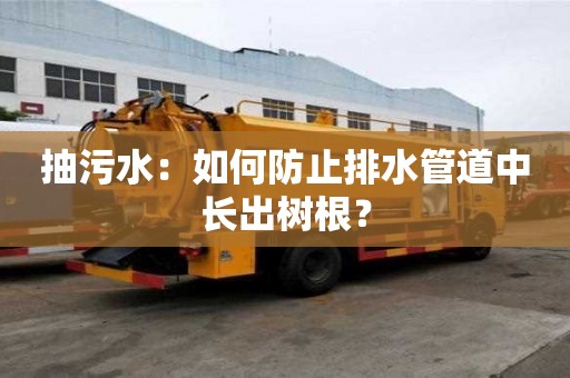 抽污水：如何防止排水管道中長出樹根？