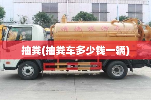 抽糞(抽糞車多少錢一輛)