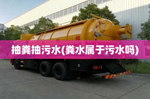 抽糞抽污水(糞水屬于污水嗎)