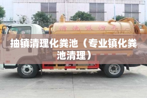 抽鎮(zhèn)清理化糞池（專業(yè)鎮(zhèn)化糞池清理）