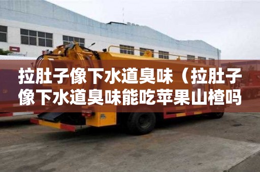 拉肚子像下水道臭味（拉肚子像下水道臭味能吃蘋果山楂嗎）
