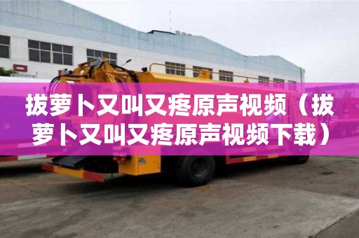 拔蘿卜又叫又疼原聲視頻（拔蘿卜又叫又疼原聲視頻下載）