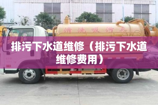 排污下水道維修(排污下水道維修費用) 排污下水道維修(排污下水道維修費用)