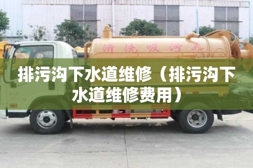 排污溝下水道維修（排污溝下水道維修費用）