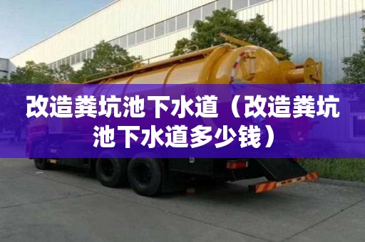 改造糞坑池下水道（改造糞坑池下水道多少錢）